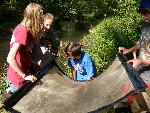 Examining Pond Creatures