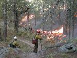 Watching fireline during prescribed fire