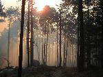 Trail with smokey sun