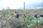 Students Tracking the Desert Tortoise