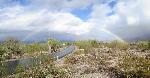 Rainbow Over Road