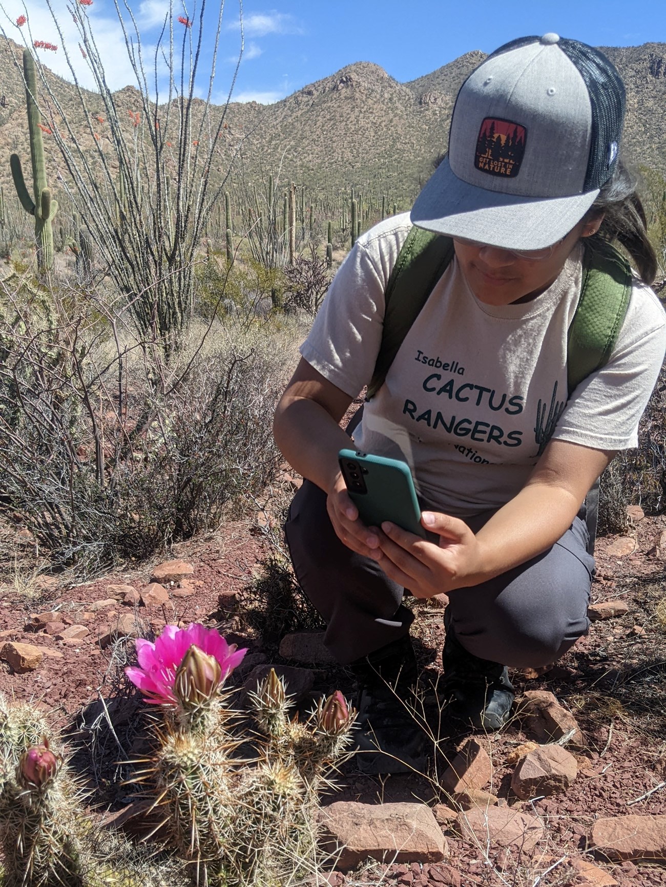 Cactus Ranger photographing pink cactus flower