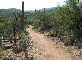 Douglas Springs Trail