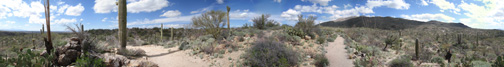 Freeman Homestead Trail
