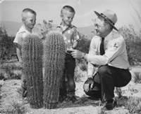 Historic photo of a ranger squatting next to two saguaros with two children.