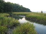Eel Creek