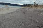 SAHI Beach