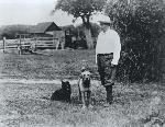 TR with Dogs, 1905