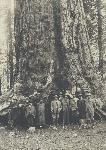 TR in front of "Grizzly Giant"