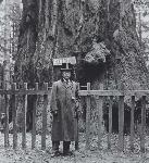 TR in front of Giant Redwood