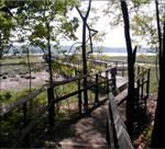 Eel creek boardwalk at Cold Spring Harbor.