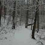 The Nature Trail to Eel Creek and the beach at Cold Spring Harbor during Winter.