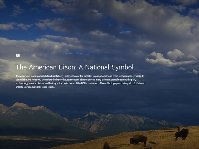 Bison on an mountainous landscape with the title, "The American Bison."