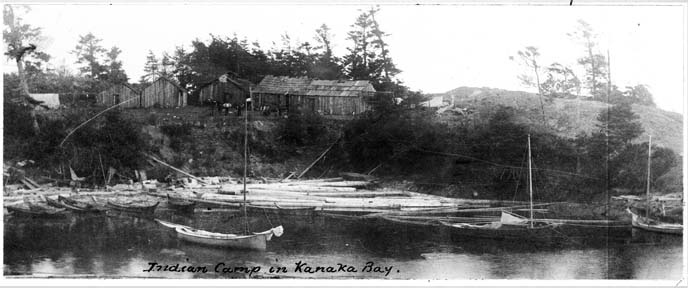 Kanaka village
