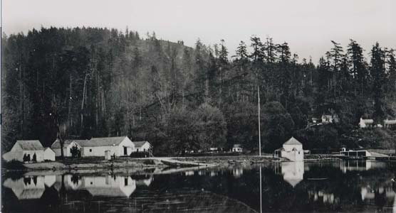 camp_in_1866