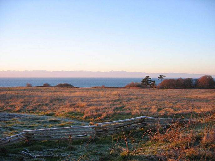 dawn_light_prairie
