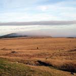 American Camp Prairie and Fog