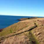 The bluff trail at American Camp with its views of the Olympic Mountains and Strait of Juan de Fucs is always popular with hikers.