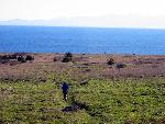 Hiker on Redoubt Trail