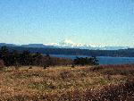 Mt. Baker and Griffin Bay from Prairie