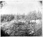 The Royal Marine Vegetable Garden, 1860