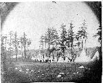 Casey's Camp, October 1859