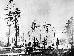 Battery D, Third Artillery, Pose with Gun