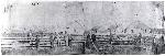Belle Vue Sheep Farm, September 1859