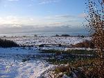 Prairie in Winter