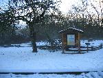 American Camp Trailhead
