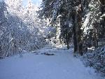 English Camp Entrance Road in Winter