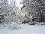 Heavy Snow at English Camp