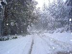 West Valley Road in Snowfall