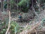 Blocked trail