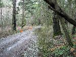 English Camp Entrance Road