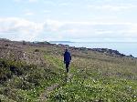 Along the bluff trail at American Camp.