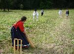 Cricket
