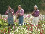Music in the Garden