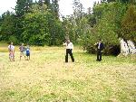 Playing Cricket
