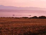 Fishing Boats from the American Camp Prairie
