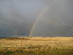 Prairie Rainbow