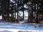 Officers Quarters From Trailhead