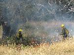 Fire Crews Work Young Hill