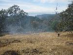 Fire Crew on West Slope of Young Hill