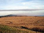 Prairie Fog