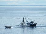 Purse Seiner from the Prairie