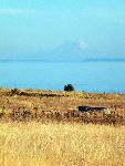 Mt. Rainier from the Prairie