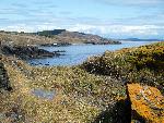 American Camp Shoreline Looking East
