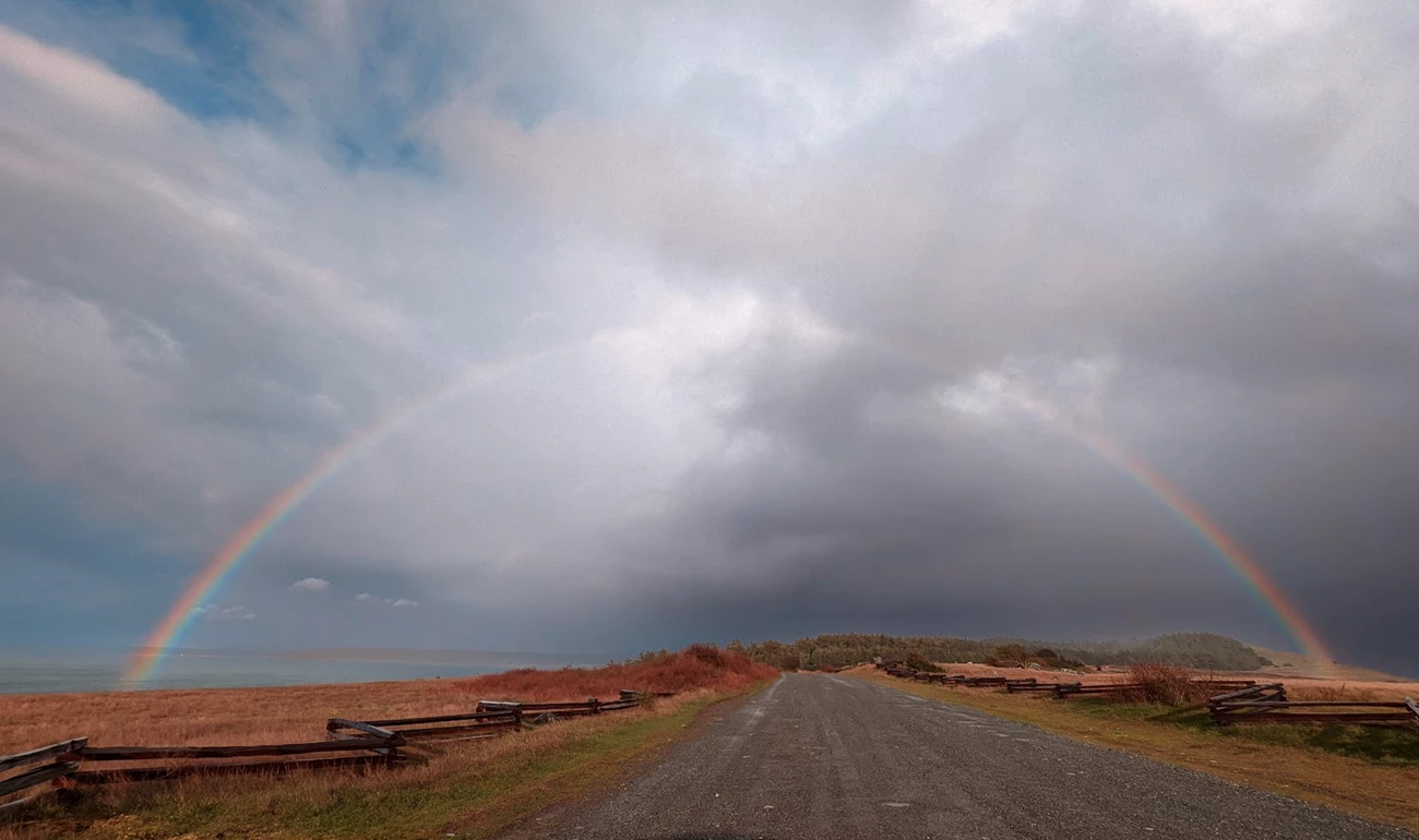 278988138_370275908361011_5549060260724647627_n color photo of a gravel road with a rainbow in the center