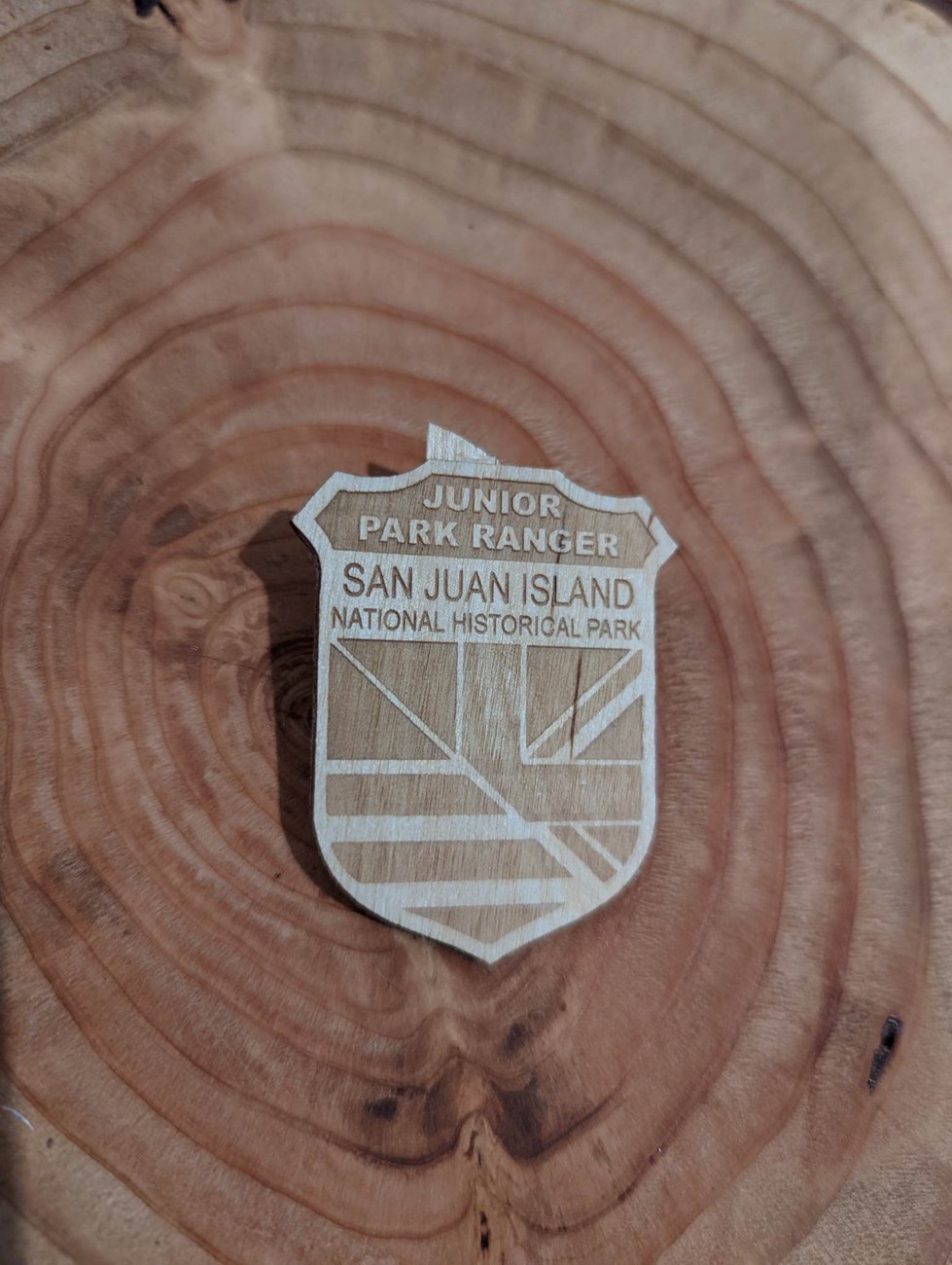 photo of a san juan island junior ranger badge made of wood